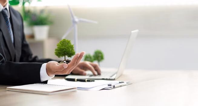 The Role of Green Innovation in Future Business Growth

